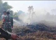 Kebakaran Lahan