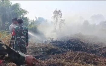 Kebakaran Lahan