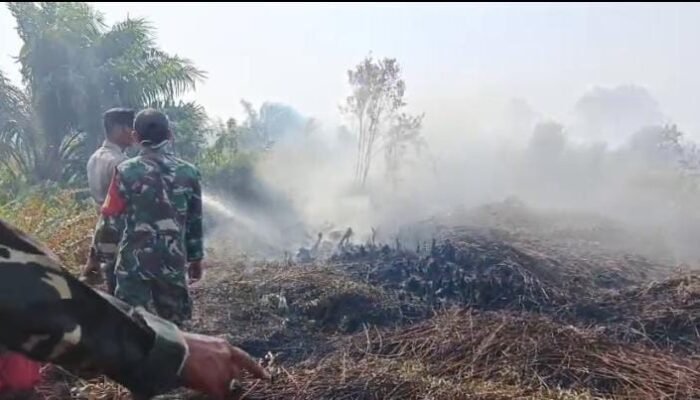 Terhitung Sejak Mei Hingga Juli, Kebakaran Lahan di Kabupaten Sambas Mencapai 399 Hektare