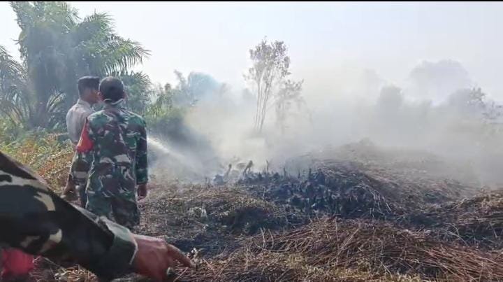 Kebakaran Lahan