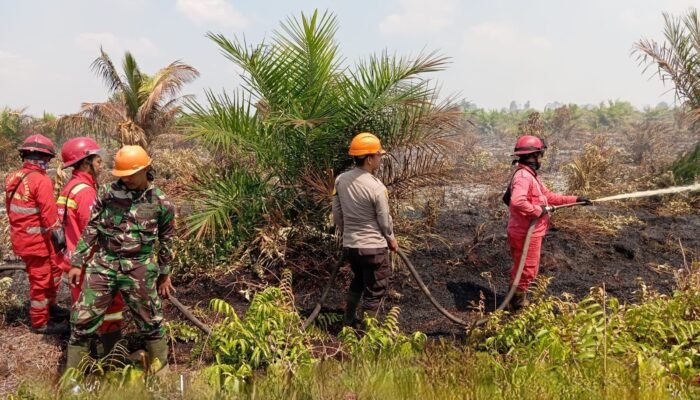 40 Titik Api Ditemukan di Kabupaten Sambas, Tim Gabungan Terus Lakukan Upaya Pemadaman