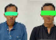 Pencuri Telur Penyu