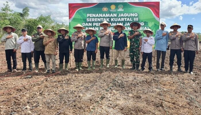 Perkuat Ketahanan Pangan dan Tekan Inflasi, Polres Sambas Laksanakan Kegiatan Tanam Jagung Kuartal III