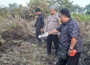 Pembakaran Lahan