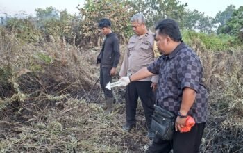 Pembakaran Lahan