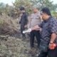 Pembakaran Lahan