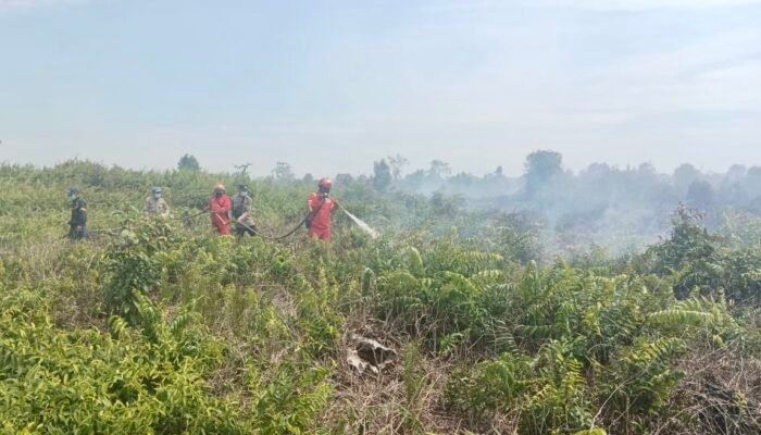 Karhutla Landa Tangaran, 35 Hektare Lahan di Desa Semata Terbakar