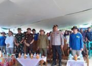 Tanam Jagung Serentak