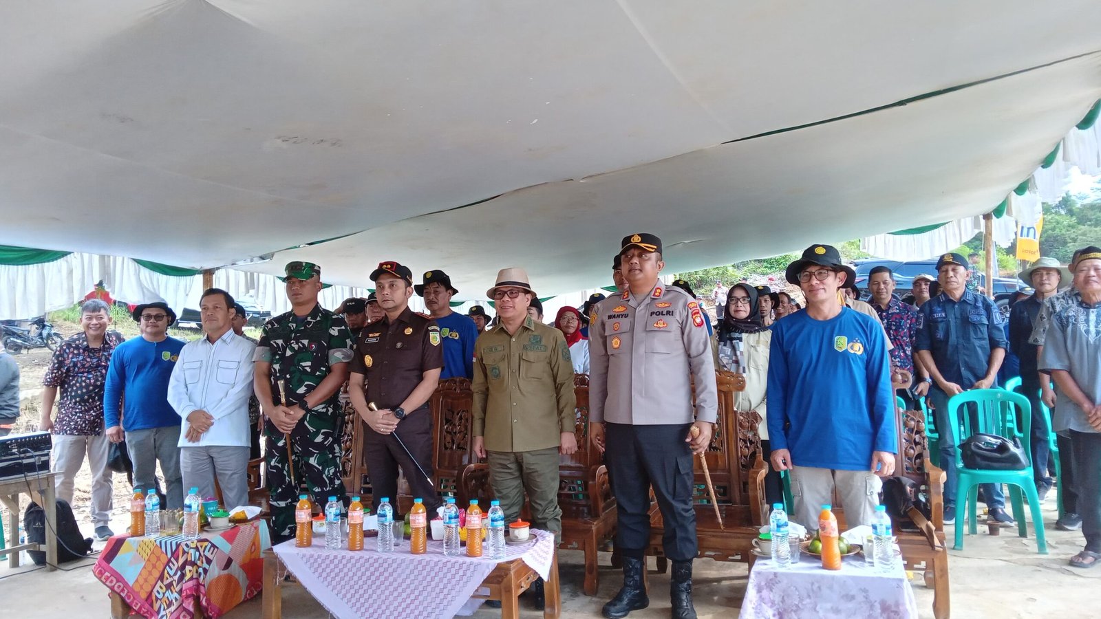 Tanam Jagung Serentak