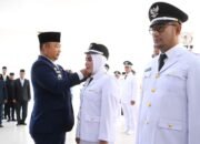 Kepala Desa di Ketapang