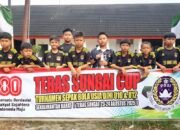 Turnamen Sepak Bola