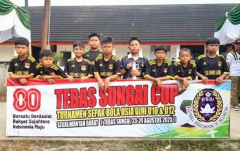 Turnamen Sepak Bola