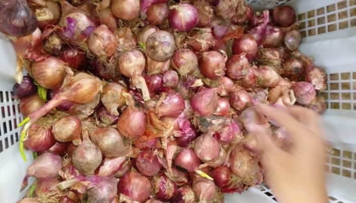 Harga Bawang Merah di Pasar Sambas Melonjak, Tembus Rp.70 Ribu Per Kilogram