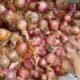 Bawang Merah