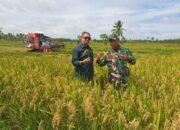 Dinas Pertanian Sambas dan TNI Bersinergi Wujudkan Swasembada Pangan