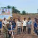 Tanam Jagung Serentak
