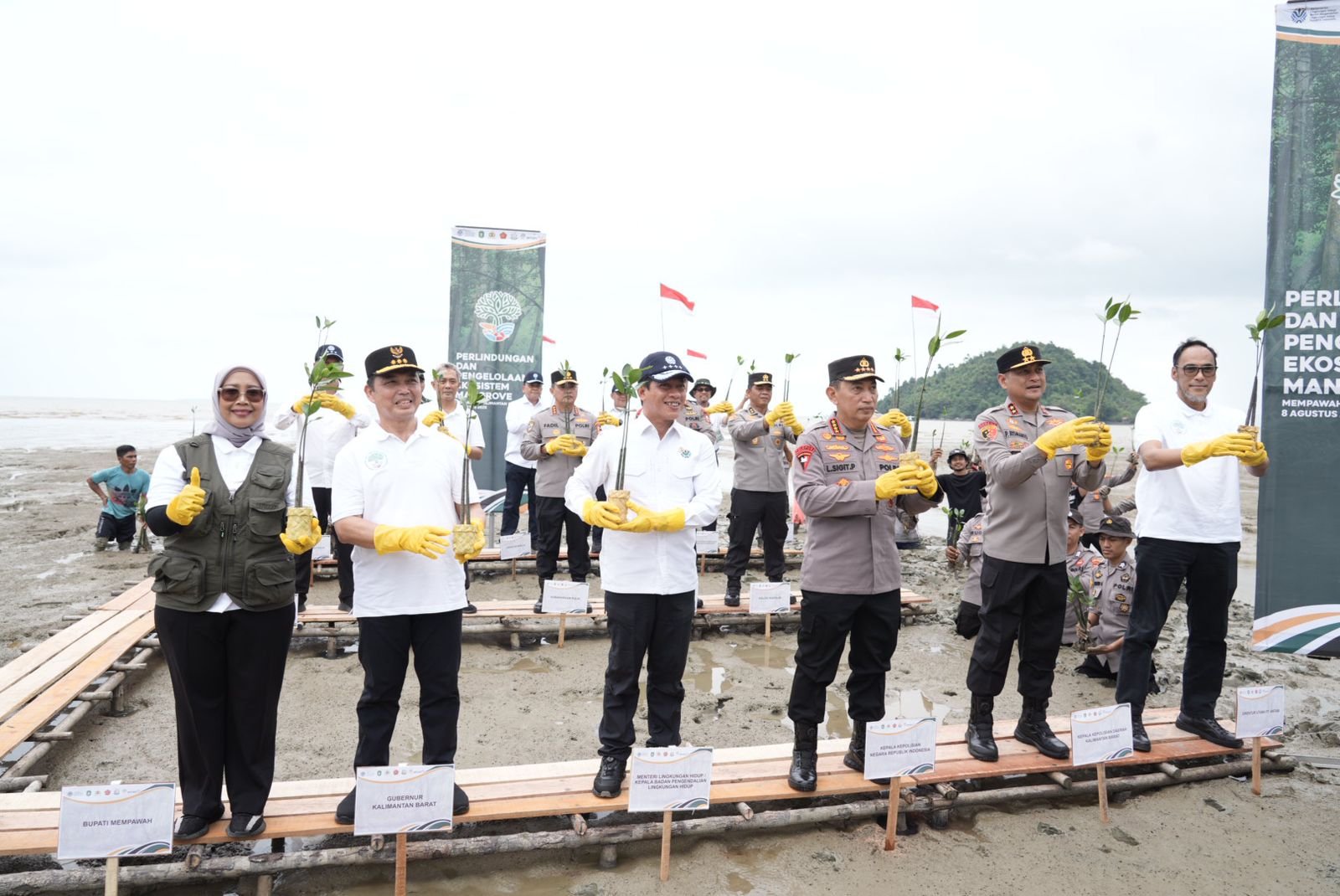 Kapolri dan Menteri LH tanam mangrove di Kabupaten Mempawah.
