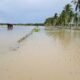 Debit air meningkat, merendam lahan pertanian masyarakat Jawai.