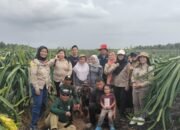 Petani di Sambas Dukung Program MBG dengan Buah Naga Bersertifikat