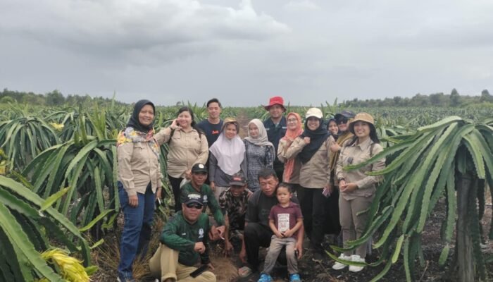 Petani di Sambas Dukung Program MBG dengan Buah Naga Bersertifikat