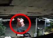 Terekam CCTV, Ternyata Begini Pencuri Lampu di Sungai Pinyuh Beraksi