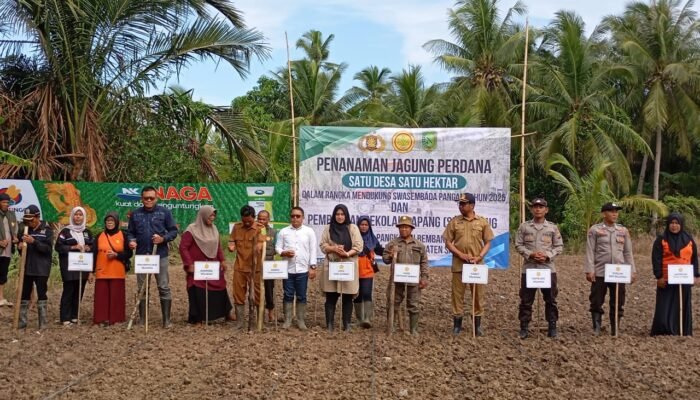 Nurmaya Dewi Ikut Tanam Jagung Perdana di Desa Pangkalan Bemban Selakau