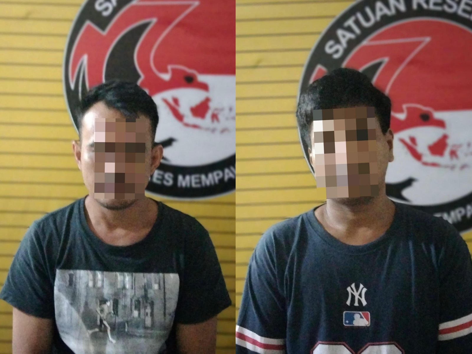TM dan AR
