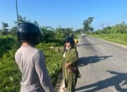 Pria Ditemukan Tewas di Tepi Jalan Raya Anjungan, Penyebabnya Belum Jelas