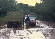 Bupati Ketapang Minta Lima Perusahaan Terlibat Perbaikan Jalan Provinsi Pesaguan–Kendawangan