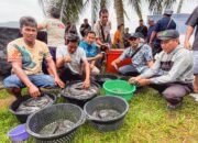 Budidaya Lele Desa Pelapis Berbuah Manis, Warga Gelar Panen Perdana