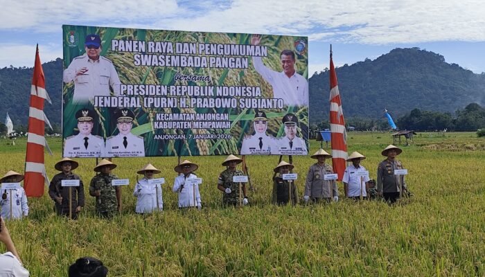 Serentak oleh Prabowo, Bupati Mempawah Panen Raya Padi Bersama Wagub Kalbar di Anjongan
