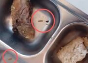 Kualitas MBG Disorot, Ayam Berulat Ditemukan di Kayong Utara