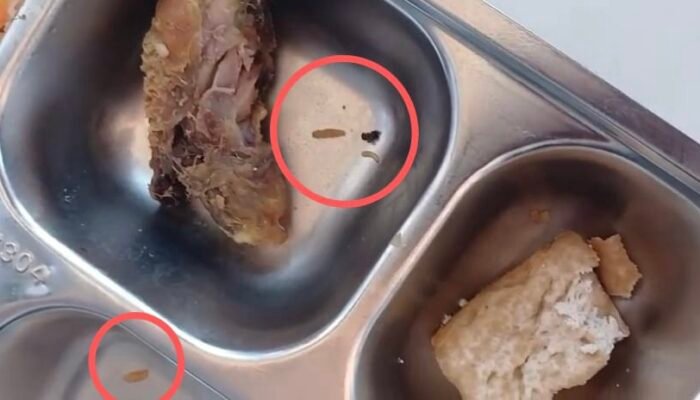 Kualitas MBG Disorot, Ayam Berulat Ditemukan di Kayong Utara