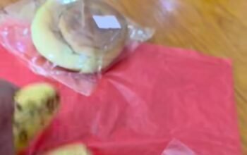 Menu MBG di Sandai Ketapang Viral, Warganet Pertanyakan Gizi dan Transparansi