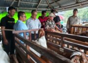 Kepala Dinas PPKH Sambas Soroti Peran Strategis Peternak Kambing