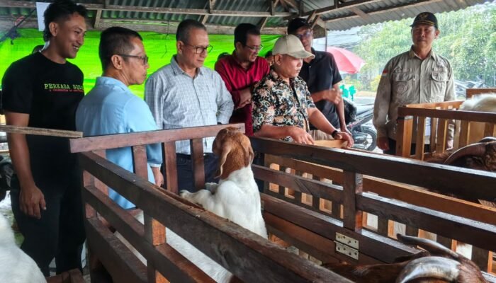 Kepala Dinas PPKH Sambas Soroti Peran Strategis Peternak Kambing