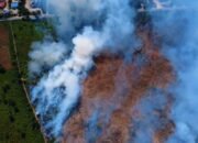 Karhutla di Desa Galang, Sungai Pinyuh, Kabupaten Mempawah