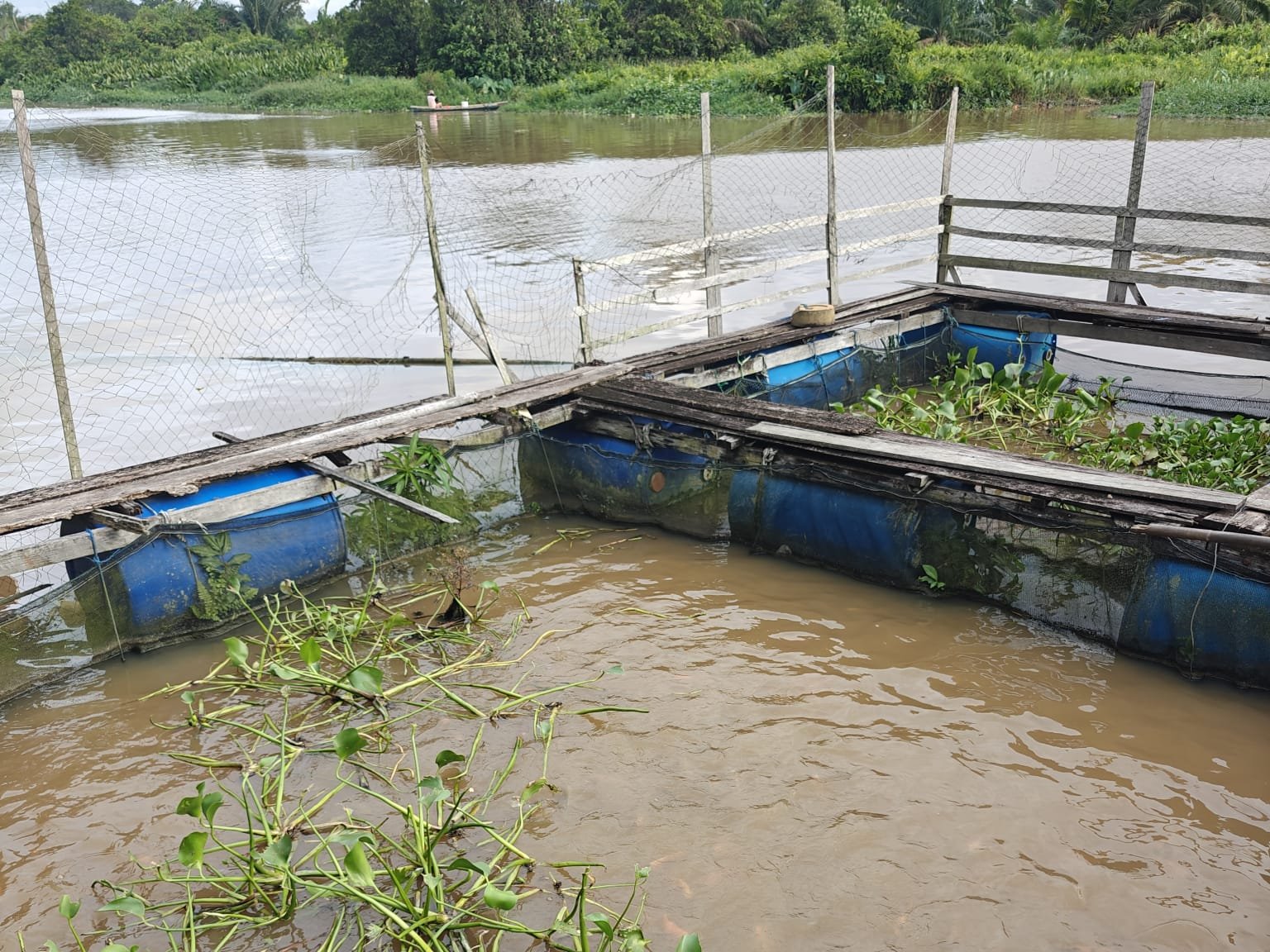 Kolam budidaya ikan air tawar masyarakat Sambas.