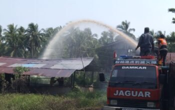 Kebakaran Semak Belukar di Sungai Pinyuh Berhasil Dipadamkan