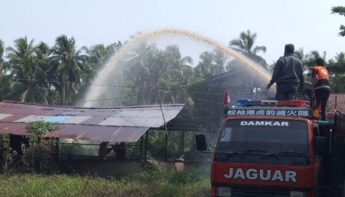Kebakaran Semak Belukar di Sungai Pinyuh Berhasil Dipadamkan