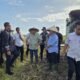 Momen menteri Sarawak meninjau lokasi panen padi di Desa Sabaran, Kecamatan Jawai Selatan, Kabupaten Sambas.