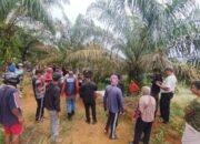 Lansia yang Hilang di Kebun Ditemukan Meninggal, Diduga Terpeleset