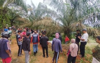 Lansia yang Hilang di Kebun Ditemukan Meninggal, Diduga Terpeleset