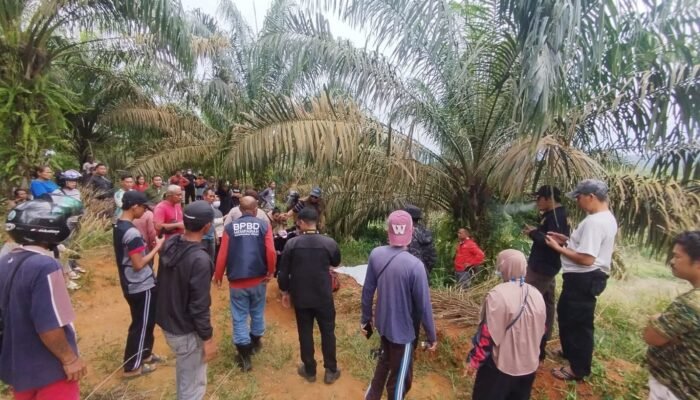 Lansia yang Hilang di Kebun Ditemukan Meninggal, Diduga Terpeleset