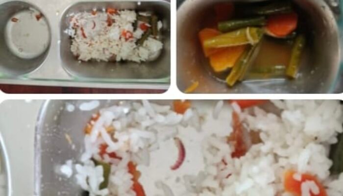Menu MBG di SDN 13 Pulau Maya Diduga Terkontaminasi Ulat, Orang Tua Murid Minta Tanggung Jawab