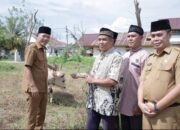 Pemkab Ketapang Salurkan 10 Hewan Kurban untuk Masyarakat Jelang Idul Adha 1447 H
