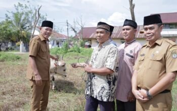 Pemkab Ketapang Salurkan 10 Hewan Kurban untuk Masyarakat Jelang Idul Adha 1447 H
