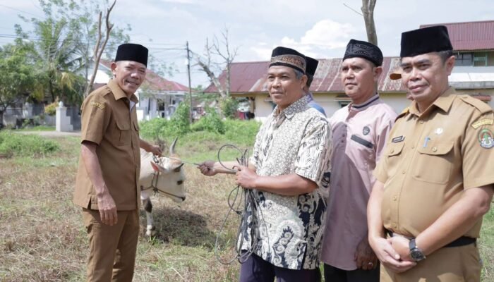 Pemkab Ketapang Salurkan 10 Hewan Kurban untuk Masyarakat Jelang Idul Adha 1447 H