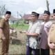 Sapi kurban