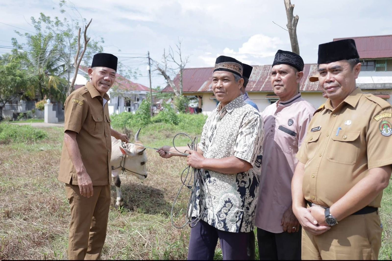 Sapi kurban